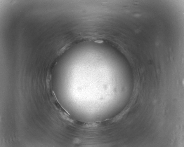 X0000082980576200702011211