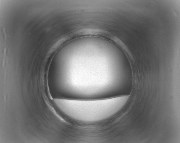 X0000082980581200702011210
