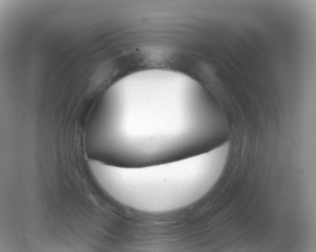 X0000082980603200702011210