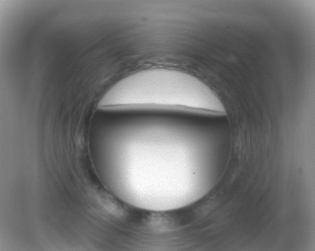 X0000082980608200702011210