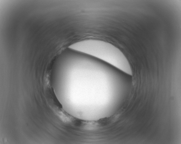 X0000082980621200702011210