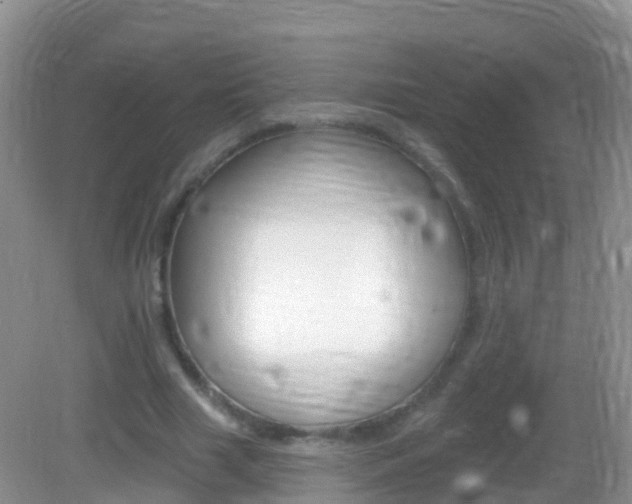 X0000082980633200702011209