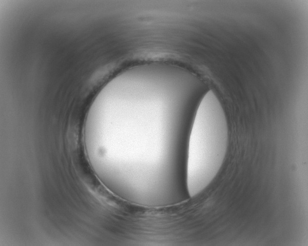 X0000082980640200702011209