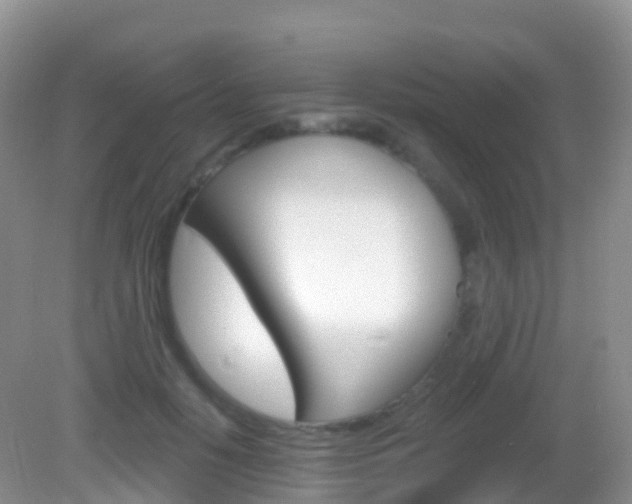 X0000082980650200702011209