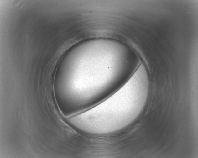X0000082980673200702011209