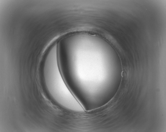 X0000082980676200702011209