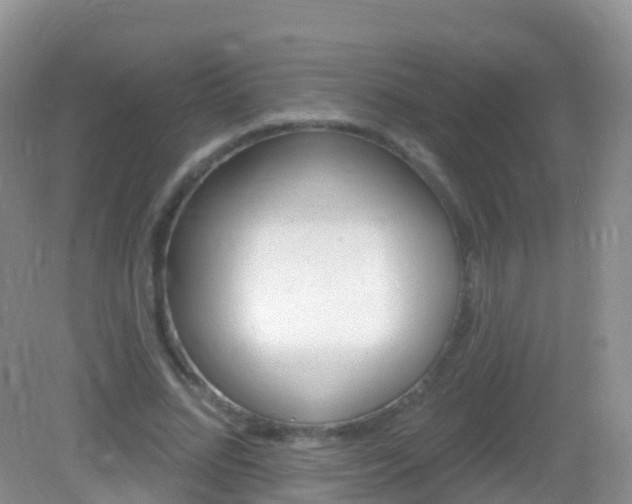X0000082980684200702011209