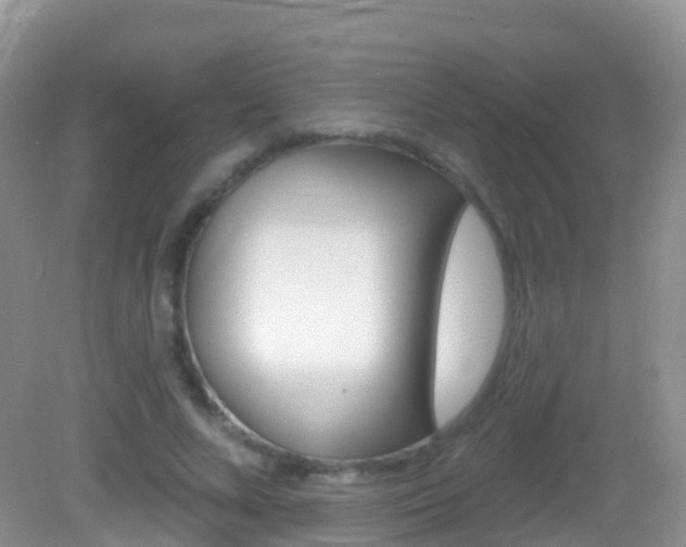 X0000082980688200702011209