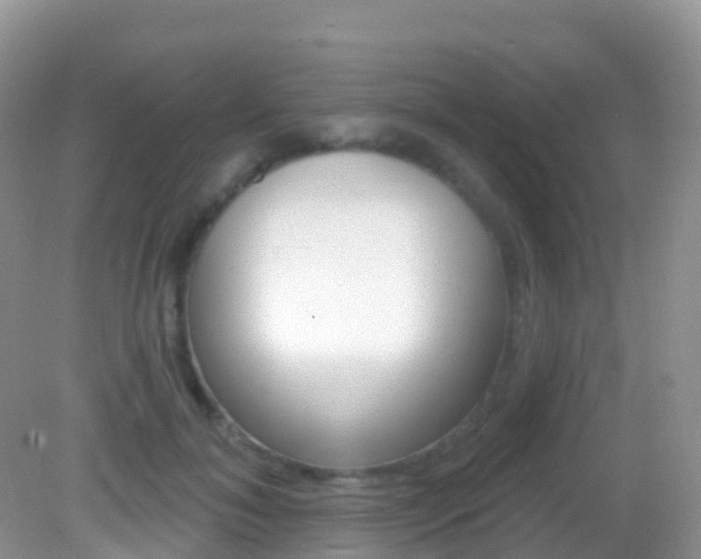 X0000082980700200702011208