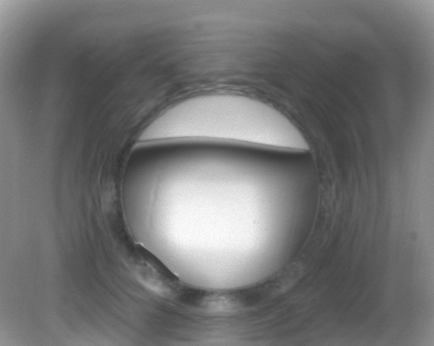 X0000082980704200702011208