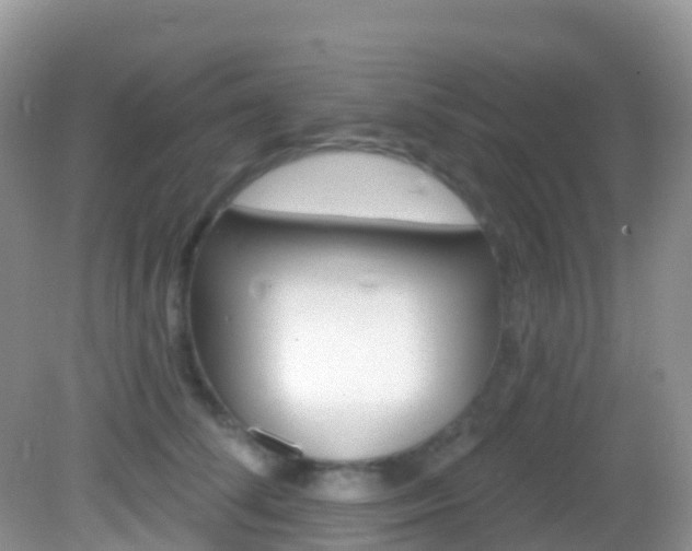 X0000082980708200702011208