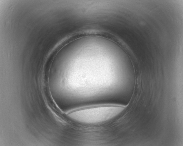 X0000082980722200702011207