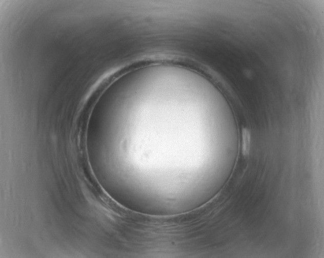 X0000082980723200702011207