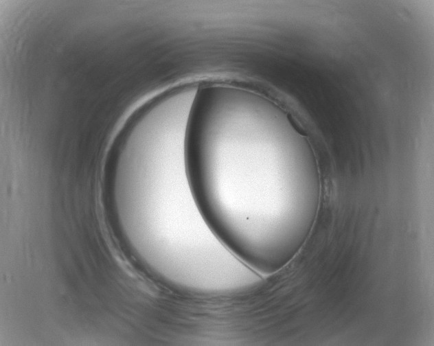 X0000082980724200702011207