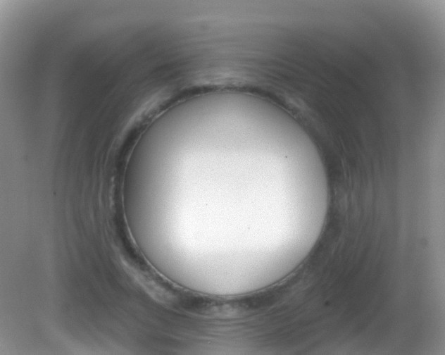 X0000082980735200702011207