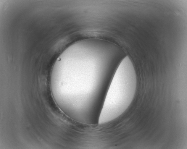 X0000082980739200702011207