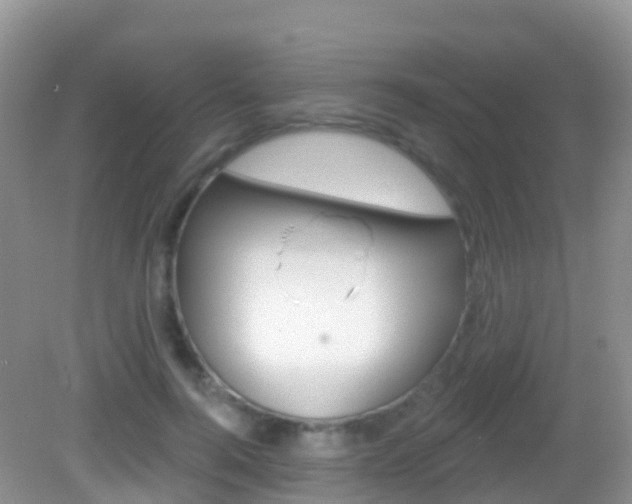 X0000082980744200702011208