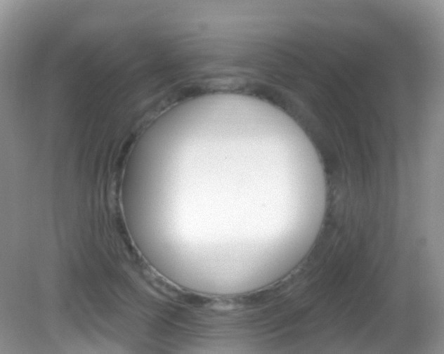 X0000082980745200702011208