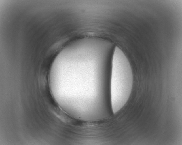 X0000082980746200702011208