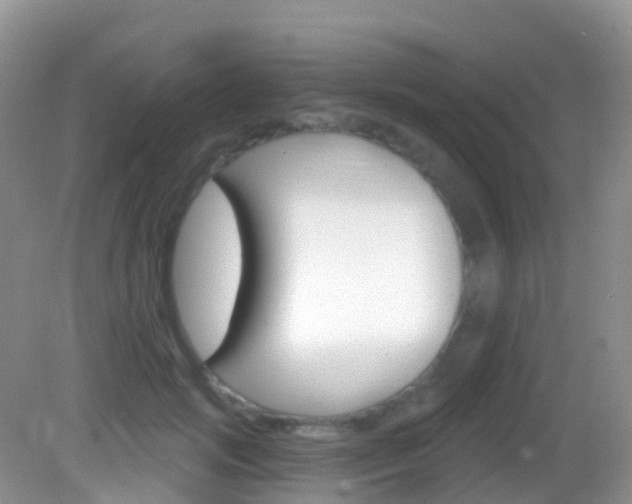 X0000082980749200702011208