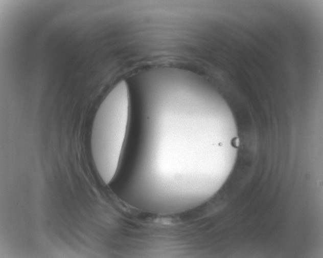 X0000082980751200702011208