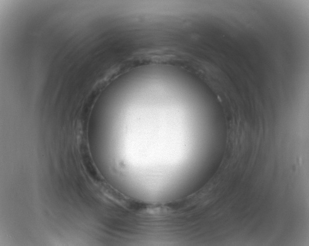 X0000082980752200702011208