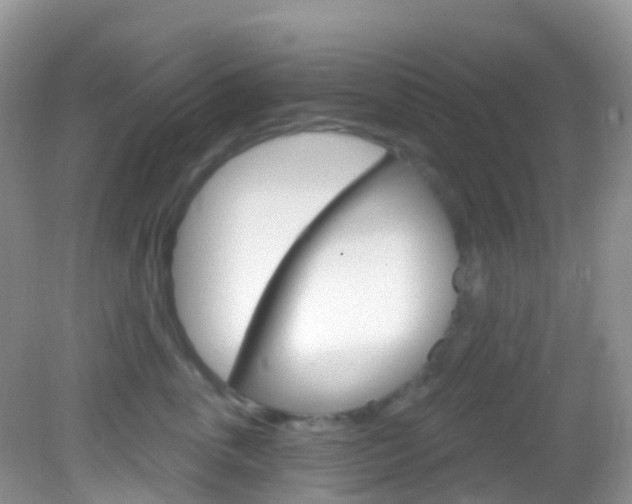 X0000082980763200702011208