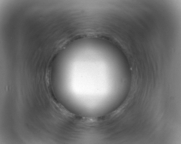 X0000082980768200702011208
