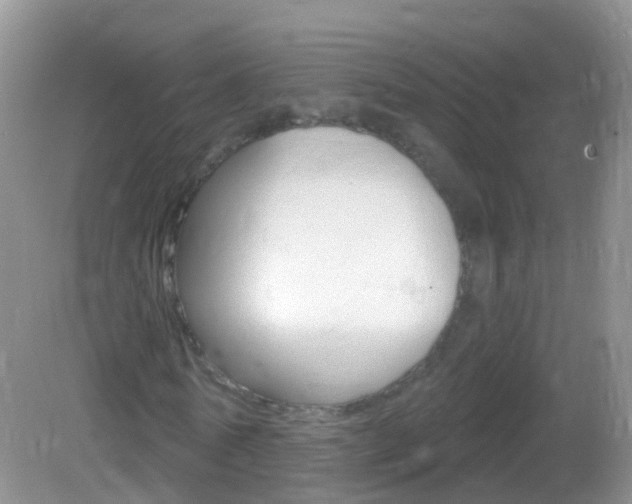 X0000082980770200702011207
