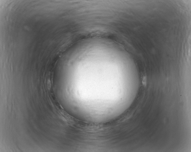 X0000082980771200702011207