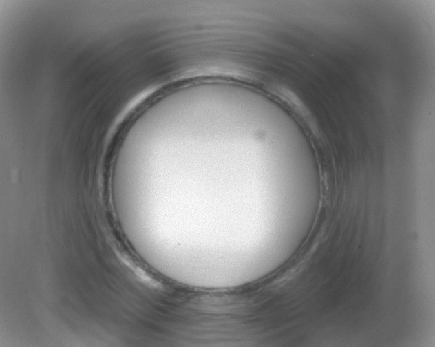 X0000082980780200702011207