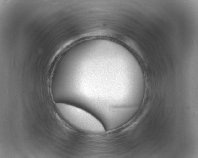 X0000082980781200702011207