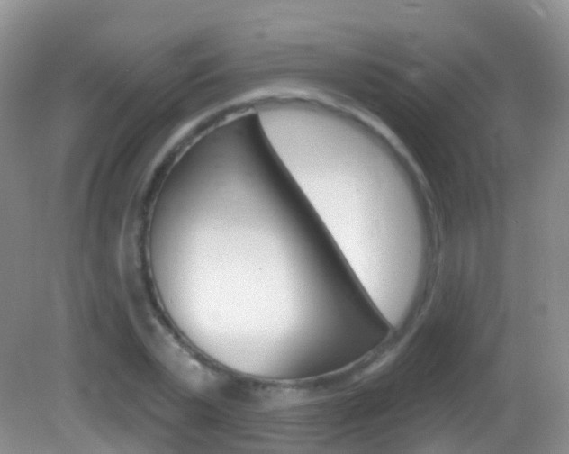 X0000082980783200702011207
