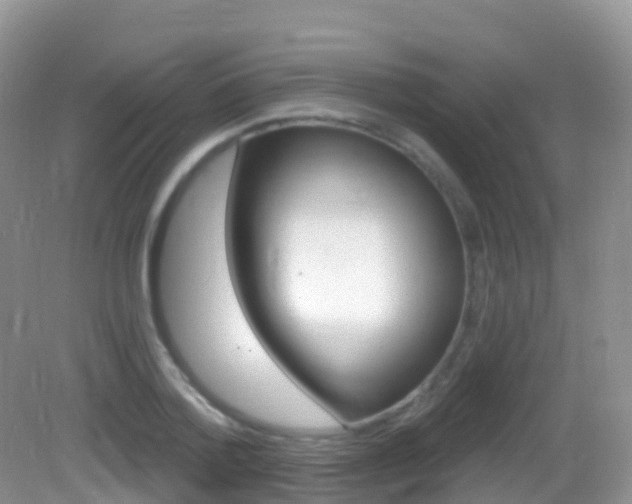 X0000082980788200702011207