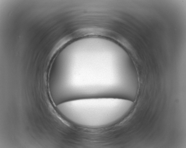 X0000082980790200702011207