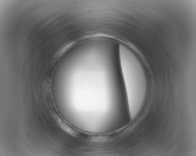 X0000082980793200702011207