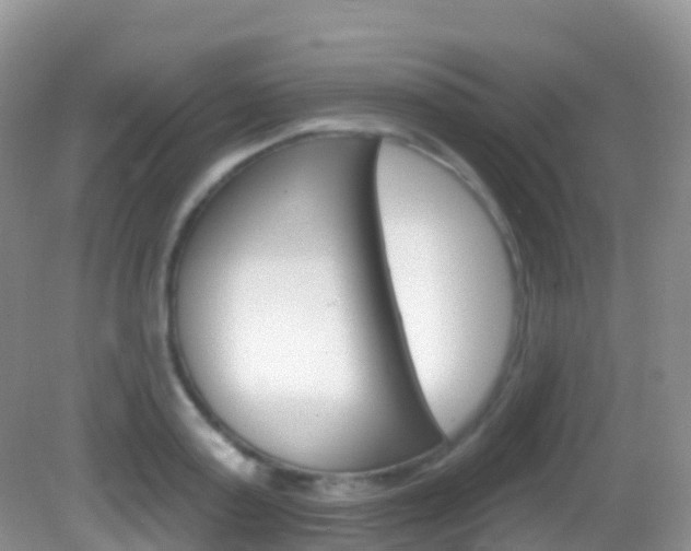 X0000082980795200702011207