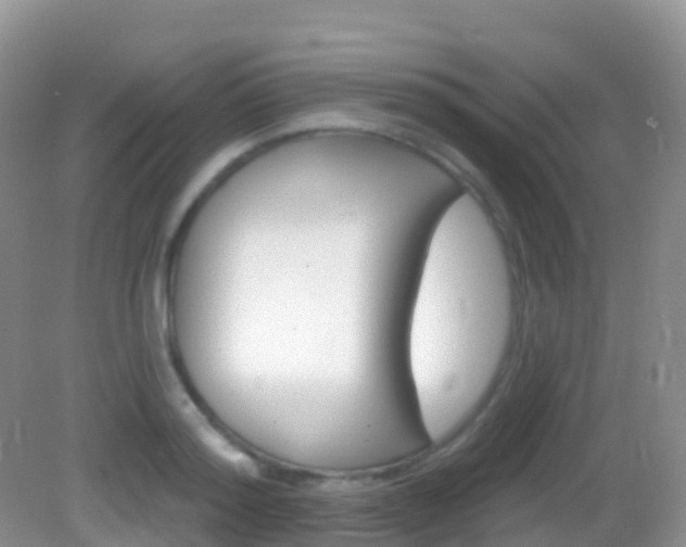 X0000082980796200702011207