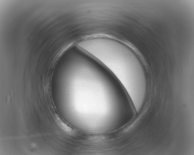 X0000082980801200702011207