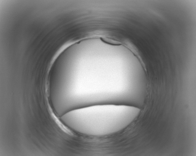 X0000082980811200702011206
