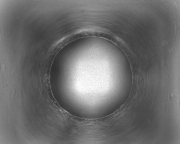 X0000082980822200702011206