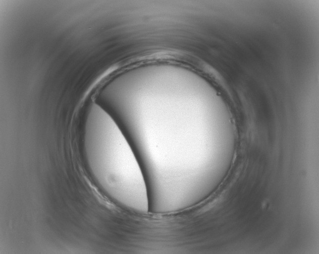 X0000082980827200702011206
