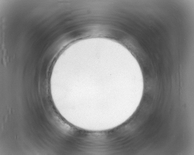 X0000082980836200702011206