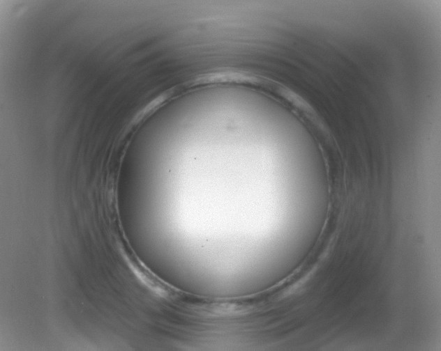 X0000082980841200702011206