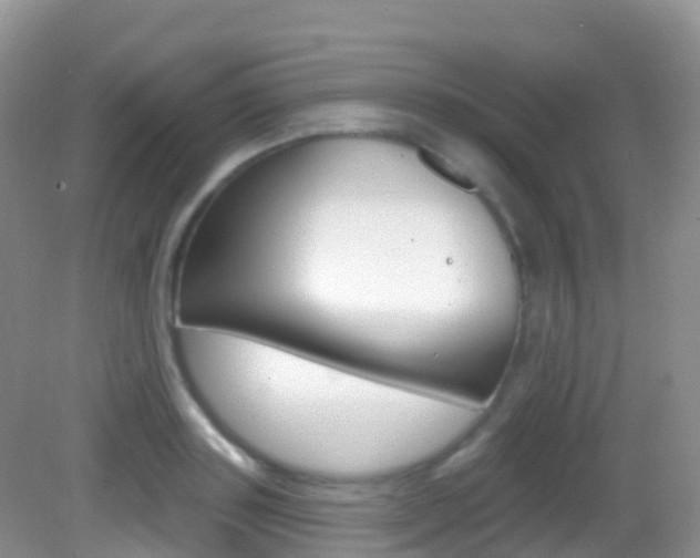 X0000082980843200702011206