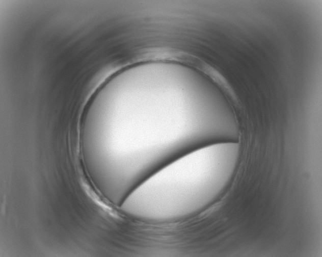 X0000082980844200702011206