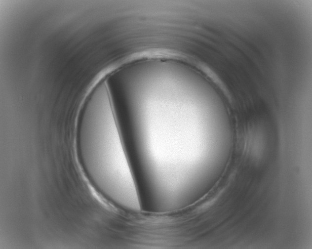 X0000082980845200702011206