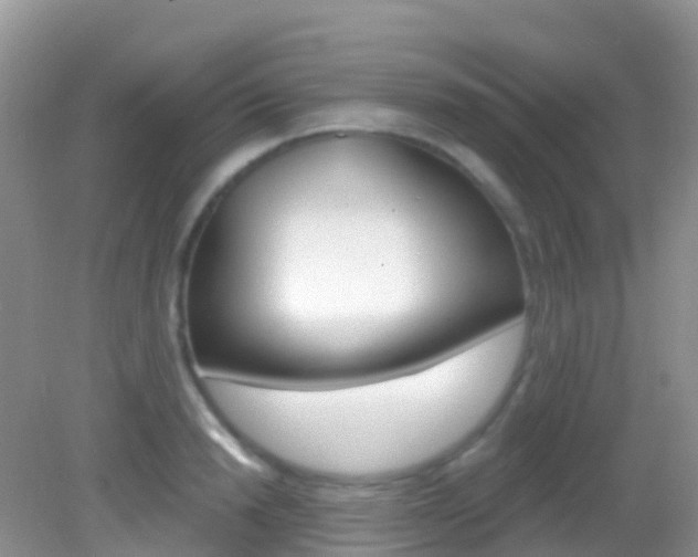X0000082980846200702011206