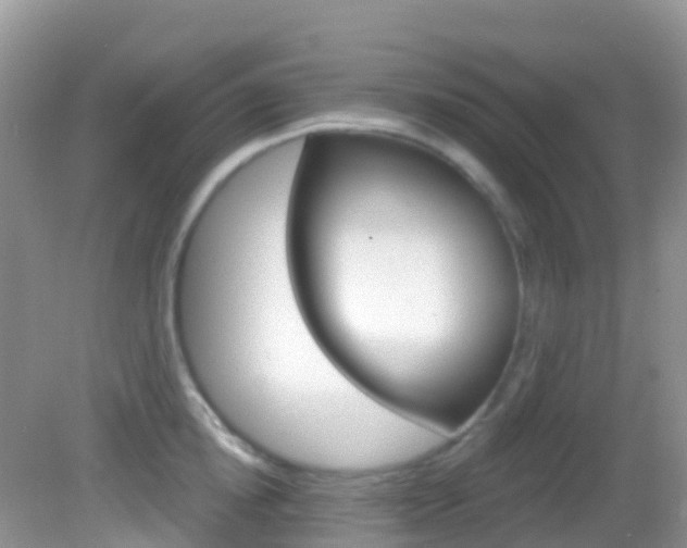 X0000082980854200702011206