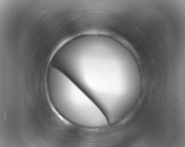 X0000082980855200702011206